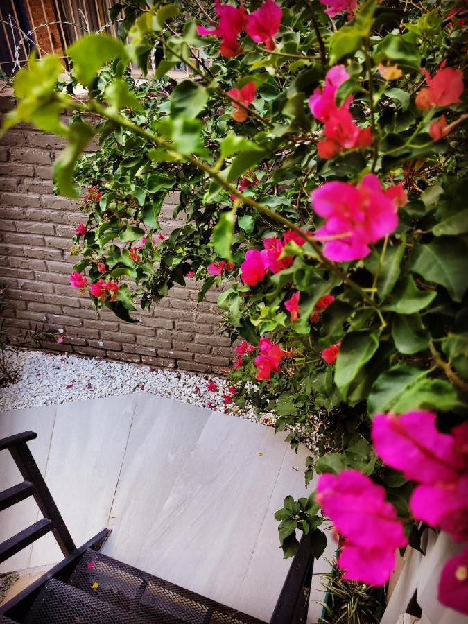 "Casa Amalia Apartamentos" Plaza Italia Y Av Aristides A 50Mts, Lugar Con Jardin Mendoza Exterior photo